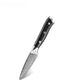 2 Piece Damascus Steel Fruit Knife Set (Executive Series) -