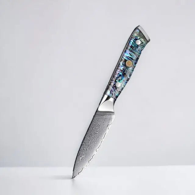 3 Piece Premium Damascus Steel Knife Set (Abalone Series) -