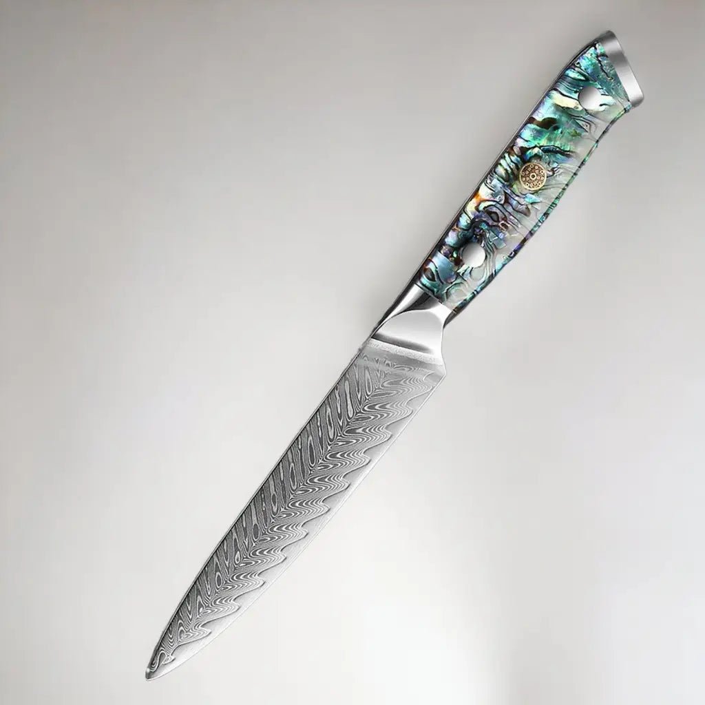 5 Piece Damascus Steel Knife Set with Resin Handle (Abalone
