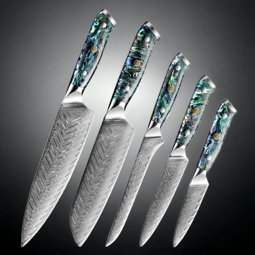 5 Piece Damascus Steel Knife Set with Resin Handle (Abalone