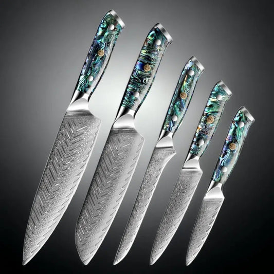 5 Piece Damascus Steel Knife Set with Resin Handle (Abalone