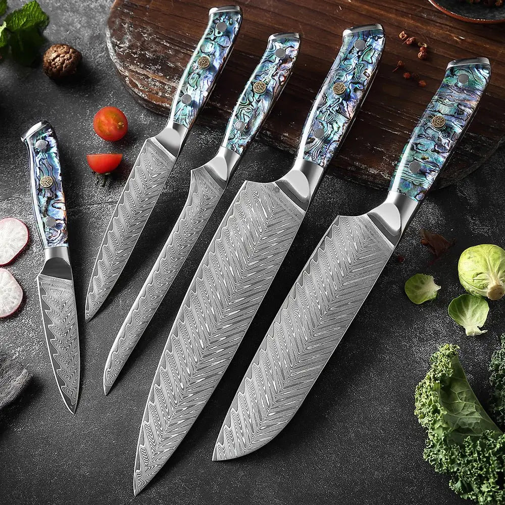 5 Piece Damascus Steel Knife Set with Resin Handle (Abalone