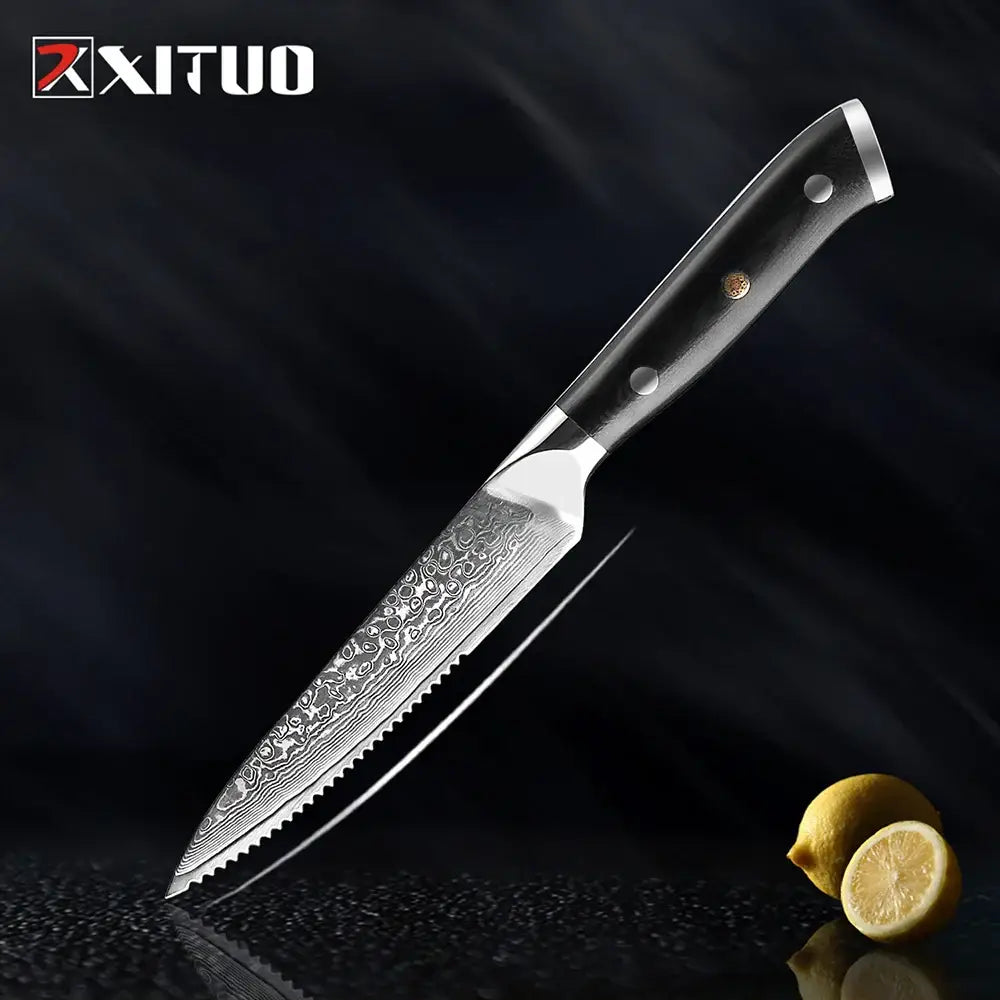 XITUO Damascus steel steak knife G10 handle knife set home