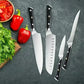 German 1.4116 High Carbon Stainless Steel Knife Set (4